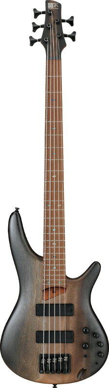 レビュー】Ibanez SR505 弾きやすさ最強の5弦ベース。｜ギタリスト 
