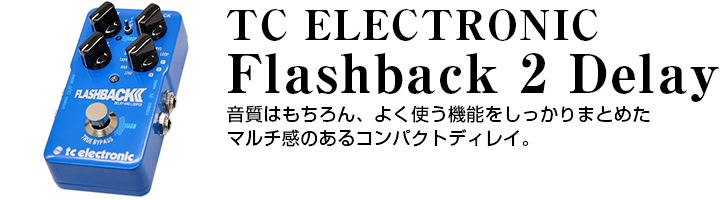 TC ELECTRONIC FLASH BACK